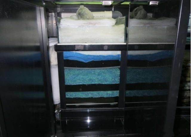 把濾材直接放魚缸里可以嗎：魚缸濾材放置方式是一個涉及到魚缸水質穩定和過濾效果的關鍵環節