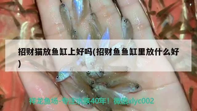 魚缸增氧泵進水了怎么辦視頻（原神進水轉身視頻怎么做）