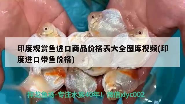 魚缸增氧泵進水了怎么辦視頻（原神進水轉身視頻怎么做）