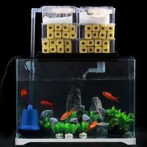 昌樂縣銘含水族館（昌樂水族館電話）