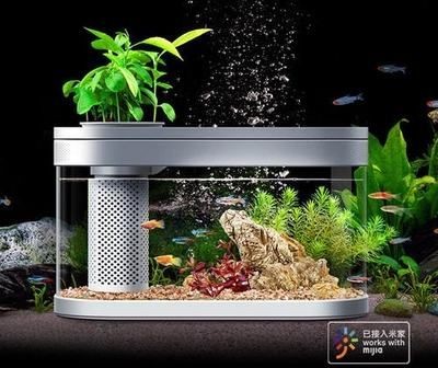 大魚缸多長時間換一次水好