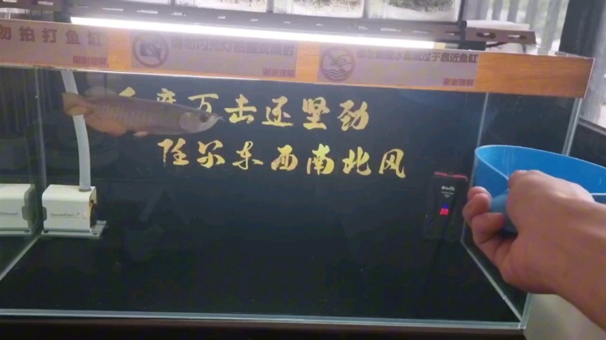 調整好狀態是首要的任務