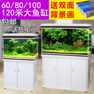 養紅龍魚魚缸背景顏色要求圖片（養紅龍魚魚缸背景顏色要求圖片大全）