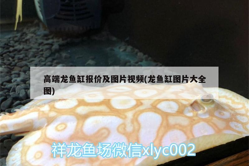 奎文區大虞名海水族館（奎文區大虞名海水族館電話）