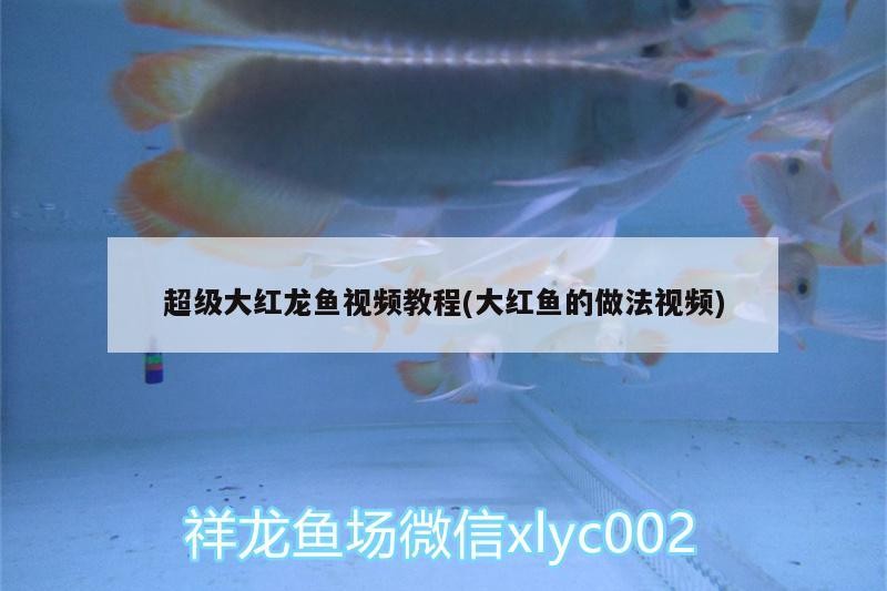奎文區大虞名海水族館（奎文區大虞名海水族館電話）