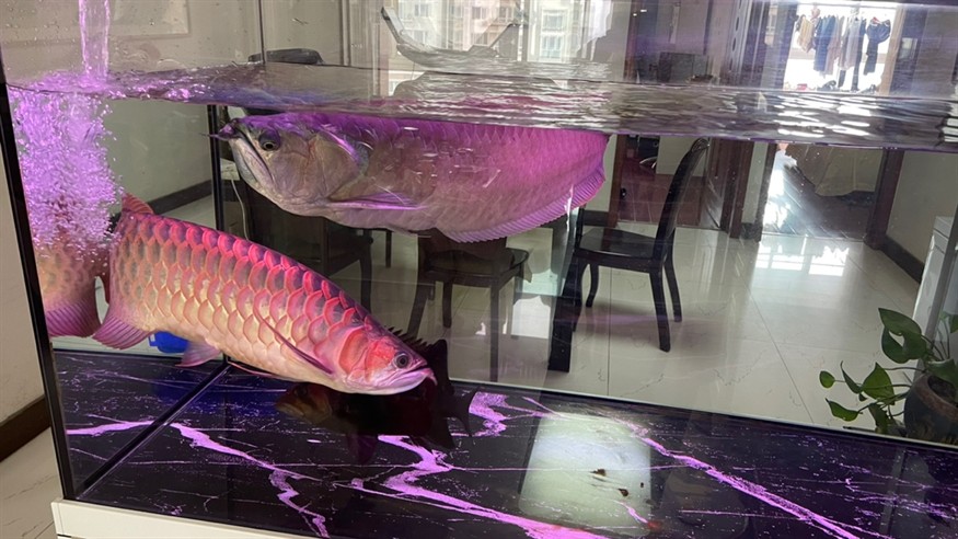 周日換水洗棉