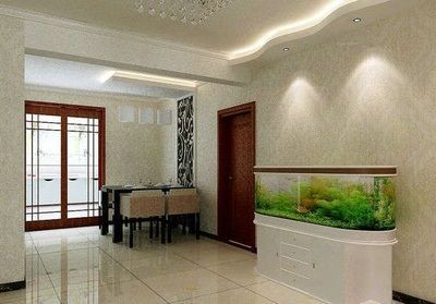 大廳哪個位置放魚缸好：客廳魚缸擺放的最佳擺放位置魚缸擺放的注意事項(xiàng) 大廳哪個位置放魚缸好：客廳魚缸擺放的最佳擺放位置魚缸擺放的注意事項(xiàng) 魚缸百科 第3張