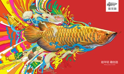 龍魚(yú)喂食量速查表，給我一份龍魚(yú)喂食量速查表，魚(yú)的喂食量取決于其大小、健康狀況和活動(dòng)水平和活動(dòng)水平 龍魚(yú)喂食量速查表，給我一份龍魚(yú)喂食量速查表，魚(yú)的喂食量取決于其大小、健康狀況和活動(dòng)水平和活動(dòng)水平 龍魚(yú)百科 第2張