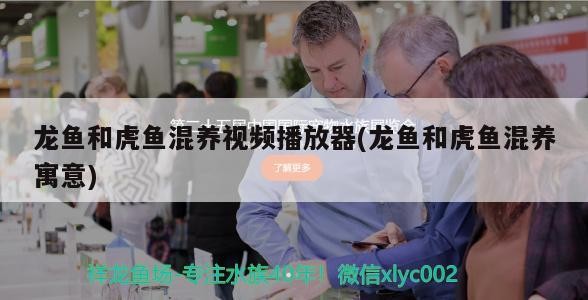 魚缸過濾器選購指南:自制魚缸過濾器魚缸上置過濾器對于養魚愛好者的必備知識 龍魚和虎魚混養視頻播放器(龍魚和虎魚混養寓意) 虎魚百科 龍魚和虎魚混養視頻播放器(龍魚和虎魚混養寓意) 龍魚和虎魚混養視頻播放器(龍魚和虎魚混養寓意) 虎魚百科