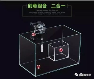 玻璃魚缸重量：如何計算玻璃魚缸的重量