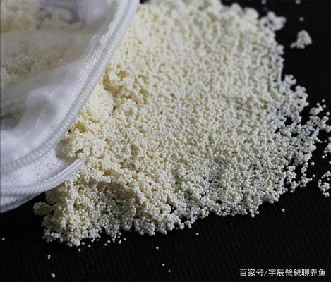 魚缸紙貼里面還是外面（魚缸貼紙貼里面還是外面）