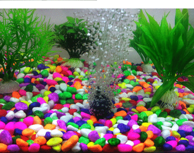 舞鋼市福田龍城匯鑫水族館（舞鋼市福田龍城匯鑫水族館電話）