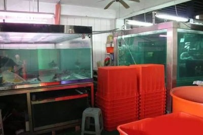 寧強縣繽紛水族店（寧強縣繽紛水族店電話）