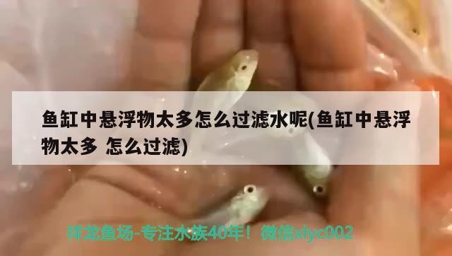 如何預防魚腹水傳染，如何預防魚腹水的傳染