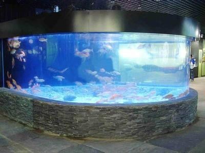 大蘇打在魚缸中的作用是什么意思：大蘇打在魚缸中的主要作用