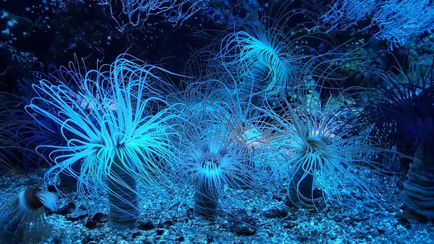 貴港市港北區鴻展水族館（貴港市港北區鴻展水族館地址）