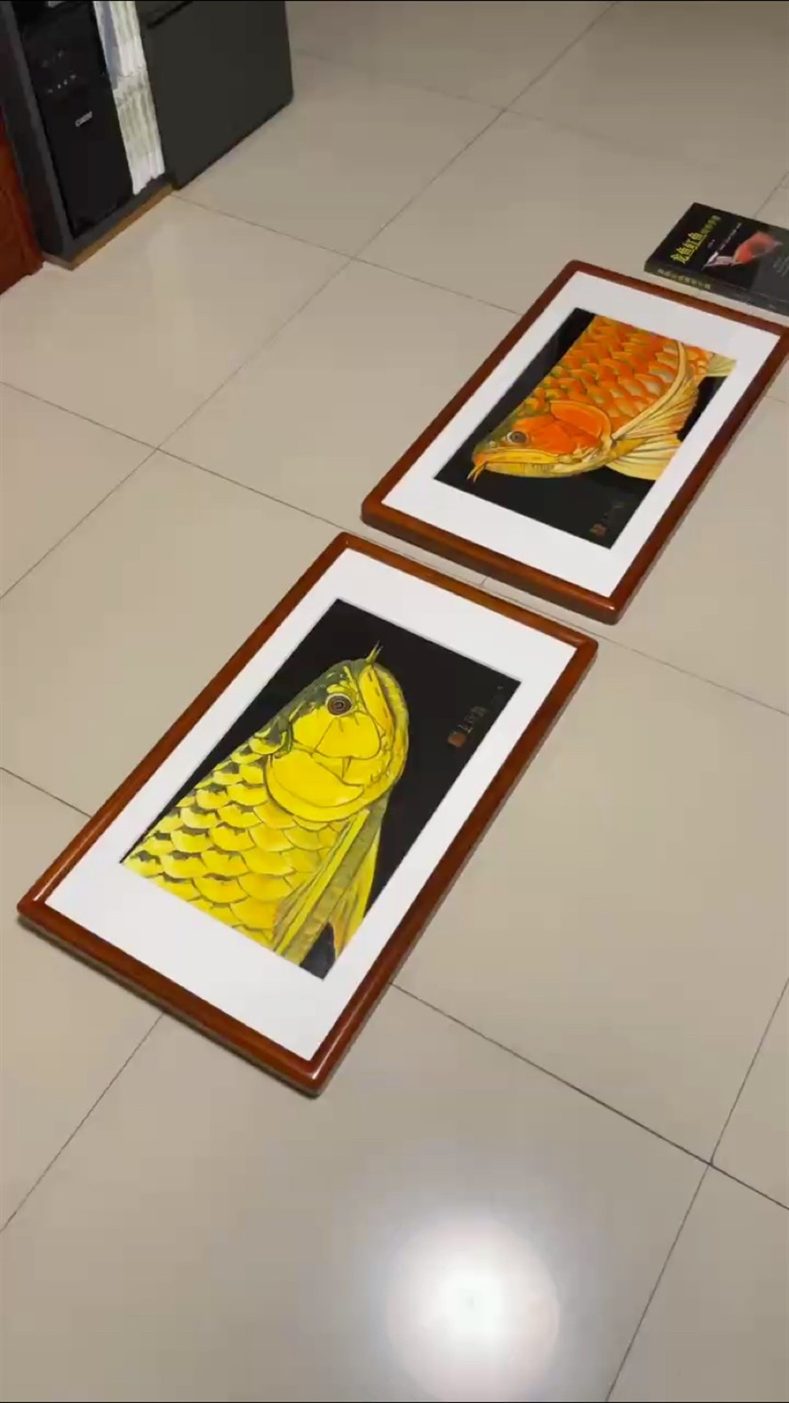 魅力龍魚對畫！