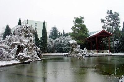 超市淡水魚魚缸溫度調到多少合適：淡水魚魚缸水溫調節指南