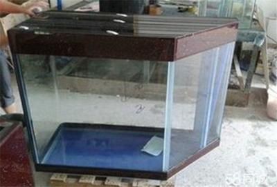 大興清洗魚缸的地方：北京哪里可以提供魚缸清洗的服務