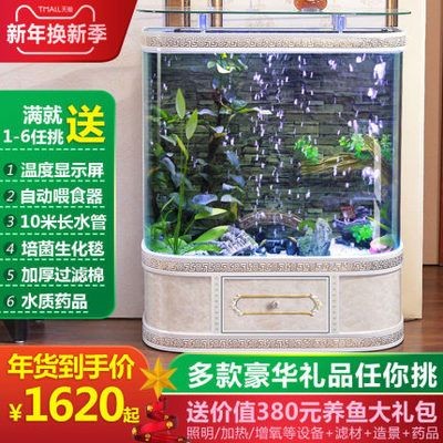 大型魚缸去哪里買好些：大型魚缸的選擇