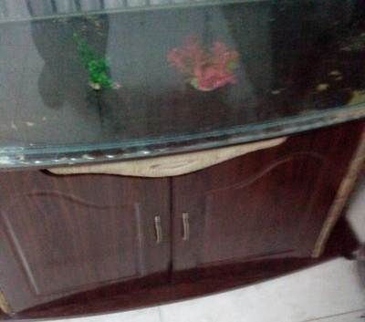 玻璃魚缸劃痕怎么處理：如何處理玻璃魚缸劃痕