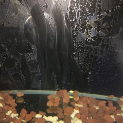 玻璃魚缸劃痕怎么處理：如何處理玻璃魚缸劃痕