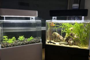 訥河市順斤欠水族館（順河飯店）