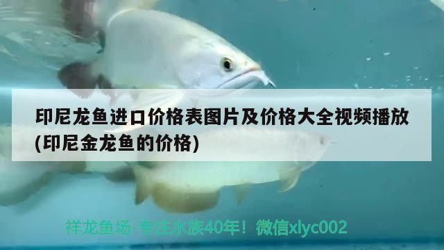 周末換水減法已經開始