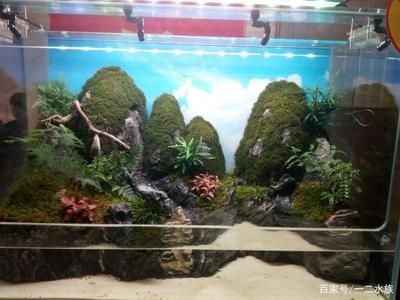 玻璃魚(yú)缸景觀：玻璃魚(yú)缸景觀設(shè)計(jì)