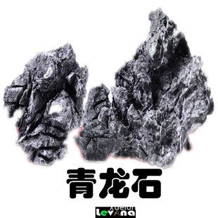 南寧市鼓發(fā)水族店（南寧市鼓發(fā)水族店地址）
