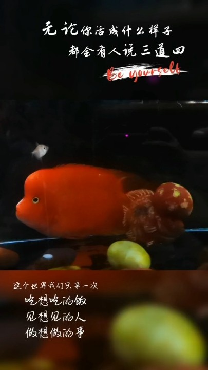 沉思…