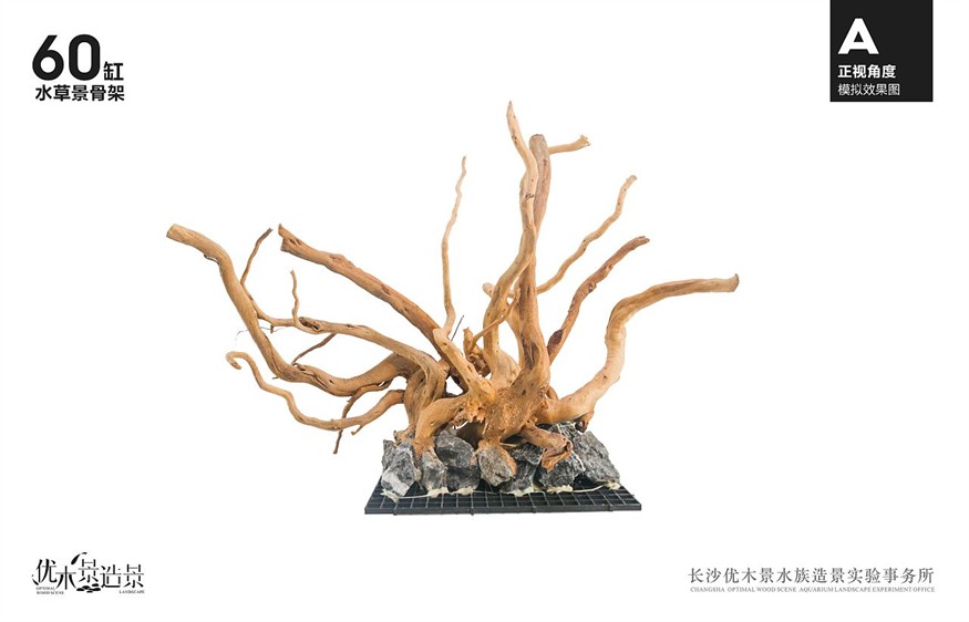 沉木魚缸造景效果圖：如何挑選沉木魚缸造景