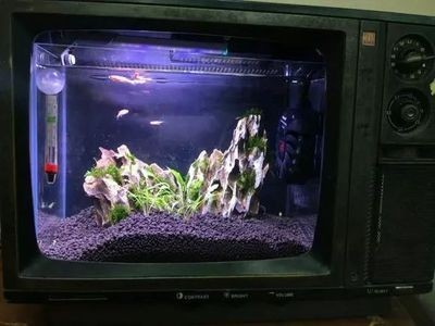 帶蓋的魚缸怎么改過濾水：如何自制魚缸過濾器