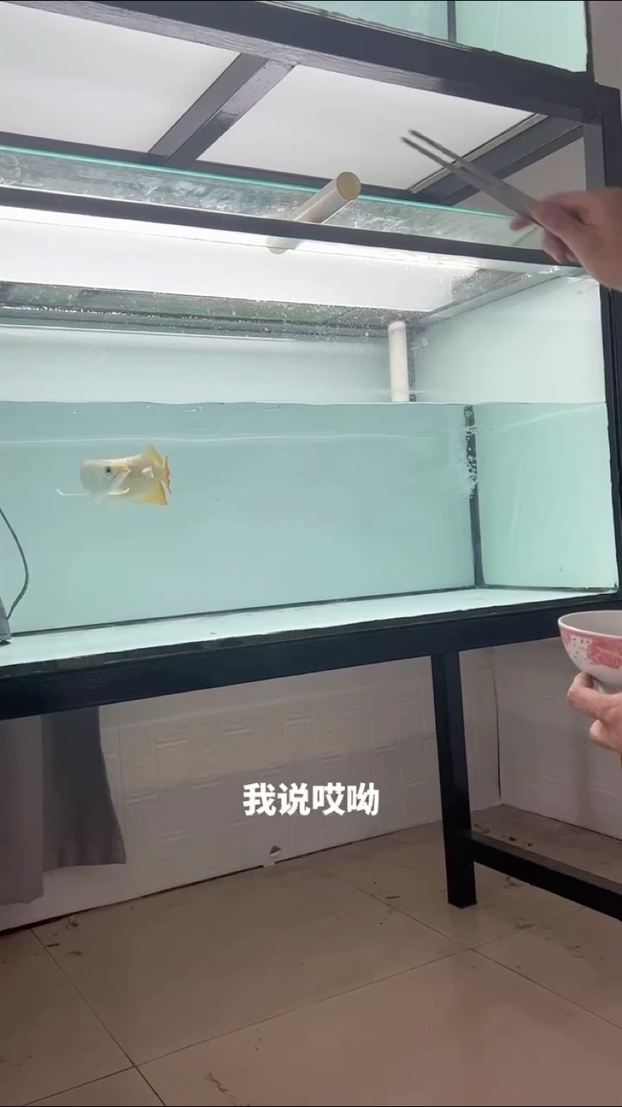 哎喲 這真是 哎喲 我還 哎喲