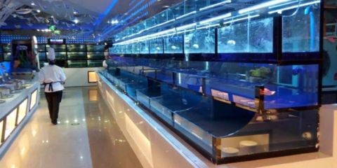 玻璃魚缸的玻璃膠怎么去除視頻：去除玻璃膠的幾種方法，可以有效去除玻璃膠的情況