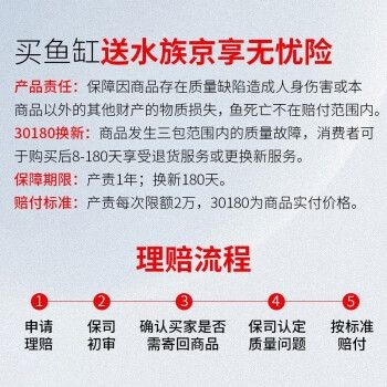 大型底濾魚缸造景圖：大型底濾魚缸的造景設計