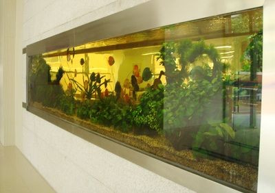 玻璃魚缸廠聯系方式：如何尋找玻璃魚缸廠家