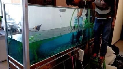 大型魚(yú)缸換水的正確方法：大型魚(yú)缸換水方法