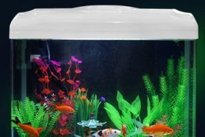 辦公室適合放魚缸嗎？：辦公室魚缸擺放位置適合放在辦公室養(yǎng)魚的風(fēng)水?dāng)[放位置