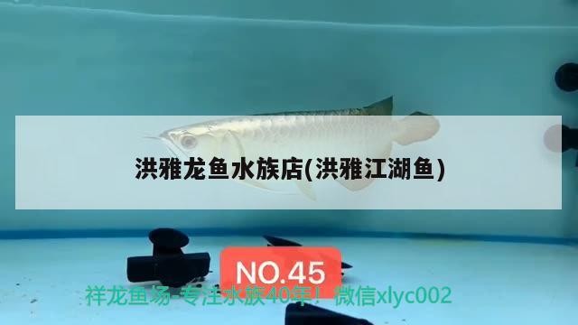 洪雅龍魚水族店(洪<strong><mark>雅江</mark></strong>湖魚)