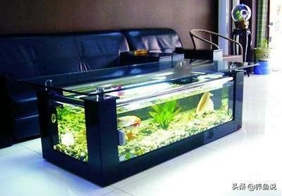 大型魚缸制作方法視頻教學：大型魚缸制作方法視頻教學時需要了解一下基礎知識