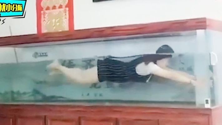 紅龍魚品相（紅龍魚品相怎么看）