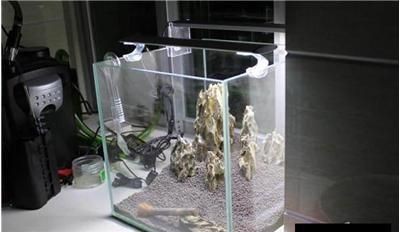 超白魚缸刮花了怎么修復好：超白玻璃魚缸刮花了怎么修復