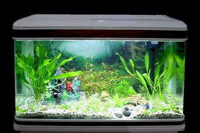 1.5米的魚缸價格表：1.5米的魚缸價格表1.5米的魚缸價格表，請注意