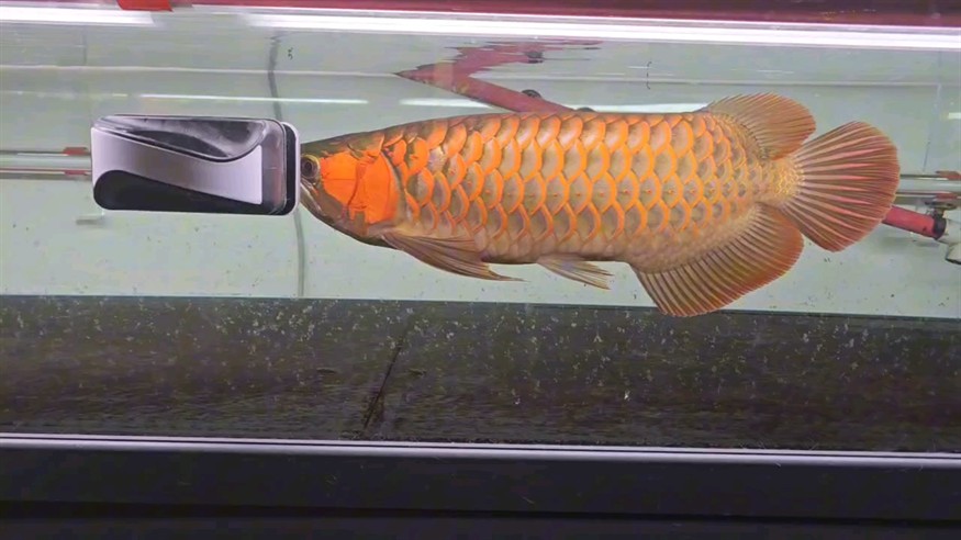 秋天到啦～