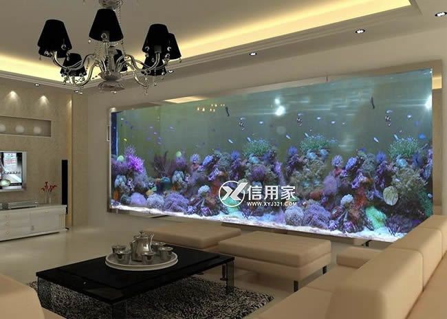 擺放魚缸的風水學講究：風水學中關于擺放魚缸的講究魚缸擺放的最佳位置