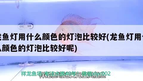 固原魚缸訂做魚缸訂做的注意事項(xiàng)，固原魚缸訂做的注意事項(xiàng)，固原魚缸訂做