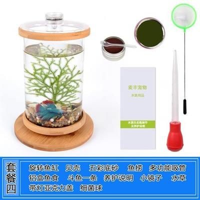 斗魚缸鋪底砂：水族生態(tài)揭秘探索水族生態(tài)的奧秘