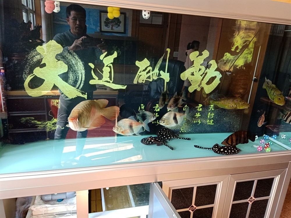 #非陶瓷濾材·漁夫之寶橫空初試#我在 #非陶瓷濾材·漁夫之寶橫空初試#我在 虎魚百科 第1張