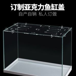 玻璃魚(yú)缸 亞克力魚(yú)缸安全嗎：亞克力魚(yú)缸和玻璃魚(yú)缸哪個(gè)好？